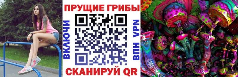 Галлюциногенные грибы мухоморы  Урус-Мартан 